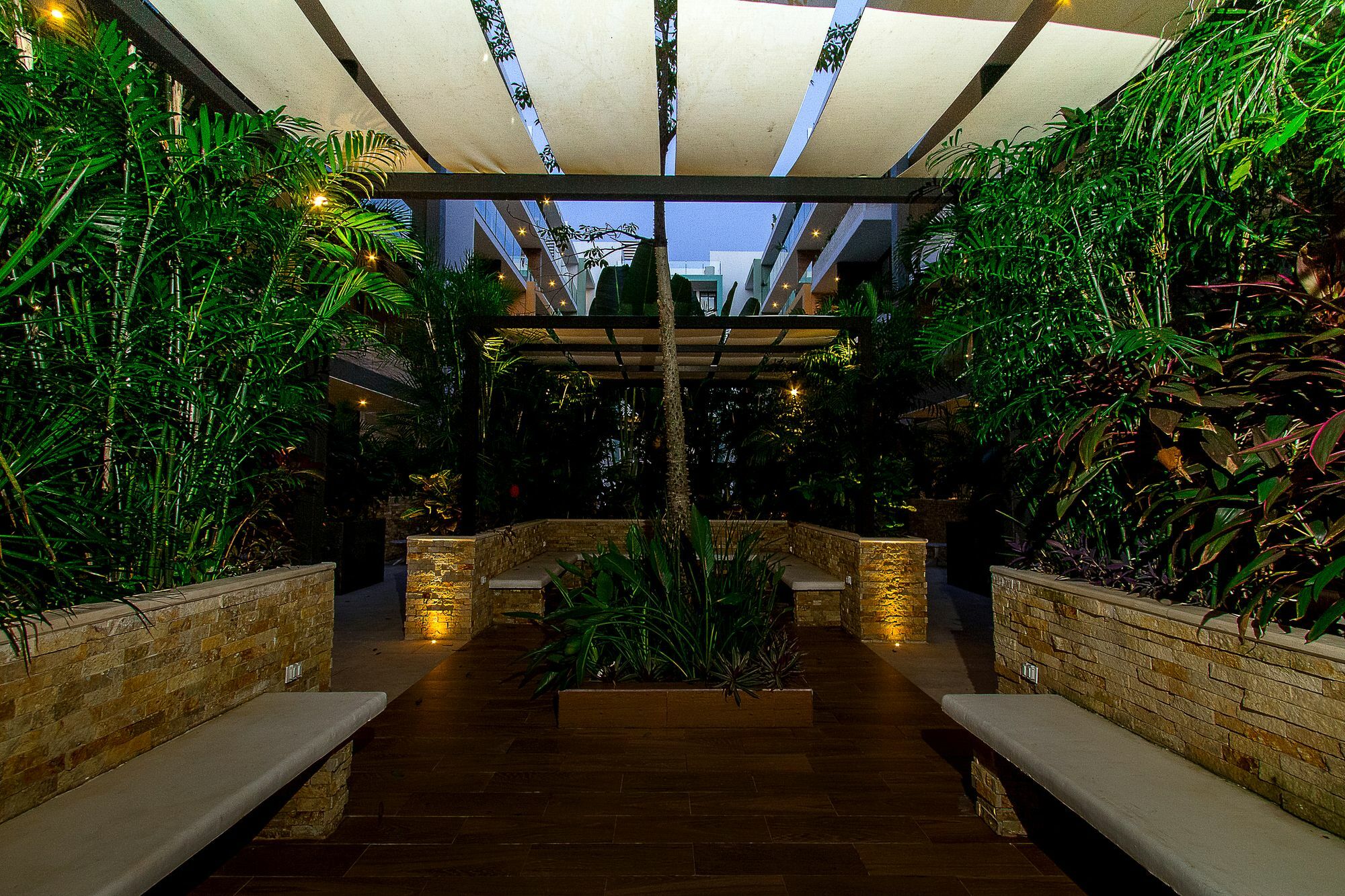 The 1221 By Imexico *